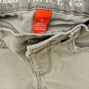 The Children’s Place Gray Toddler Jeans 2T